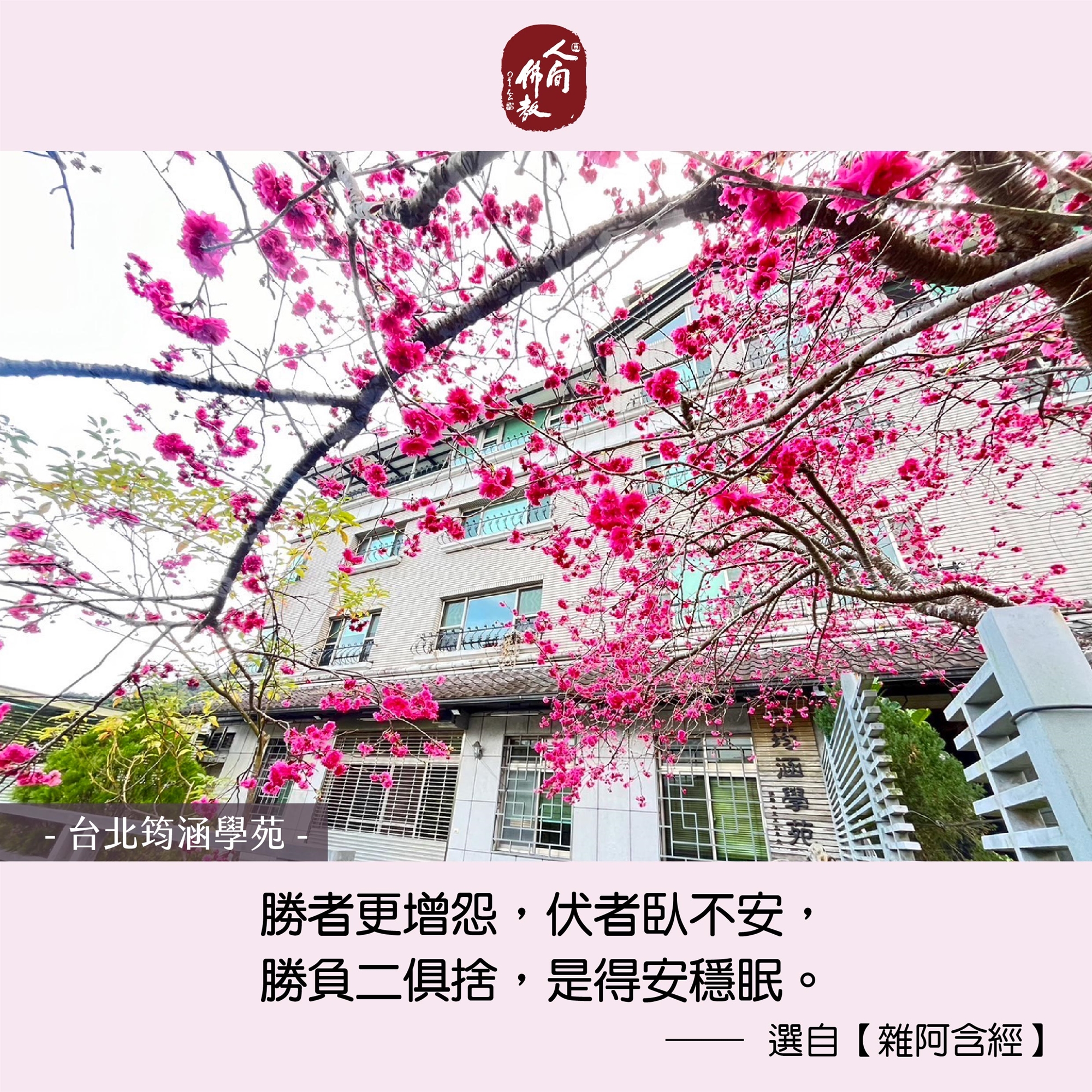 2025.11月每日圖卡